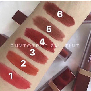 SON KEM PHYTOTREE 24H