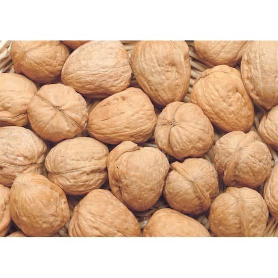 Quả Óc Chó Mỹ Chính Hãng (100G / 250G / 500G)