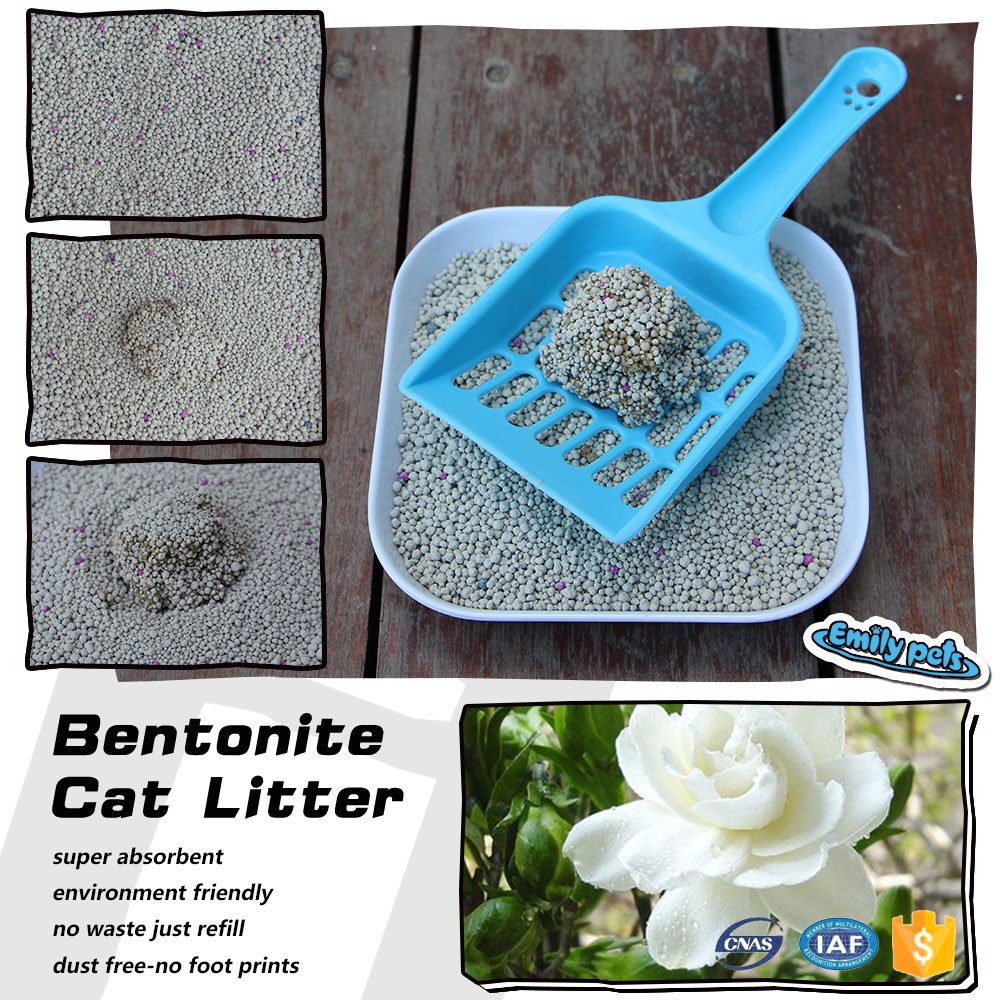 Xẻng xúc cát vệ sinh cho mèo - Phụ kiện thú cưng Pet Shop genyo