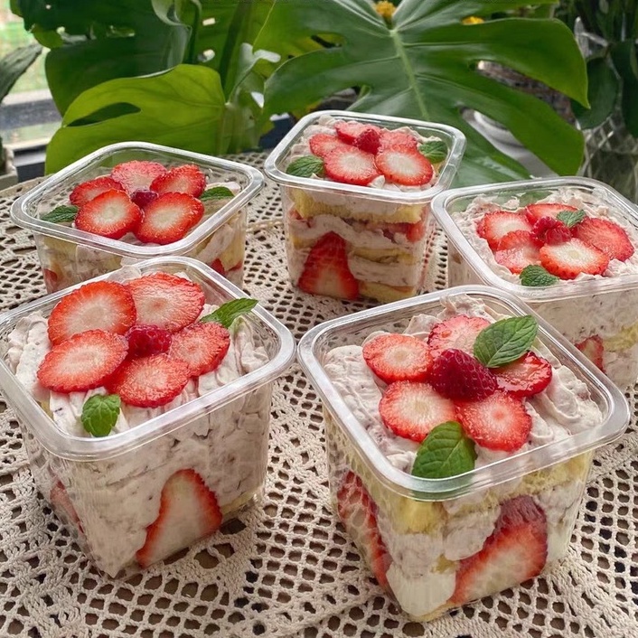 SET 10 HỘP MOUSSE VUÔNG, HỘP NHỰA VUÔNG ĐỰNG BÁNH LẠNH