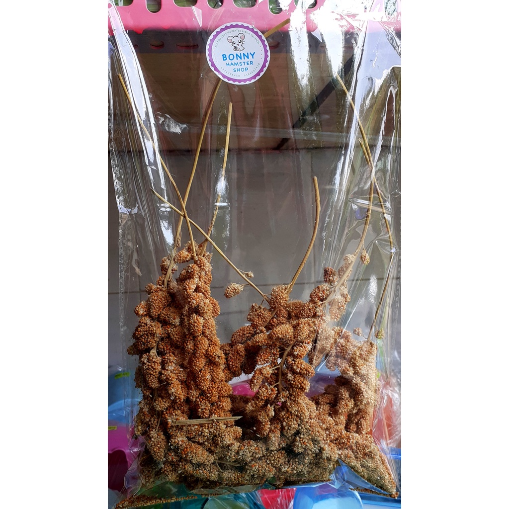 100 g Kê chùm dành cho hamster, sóc, thỏ