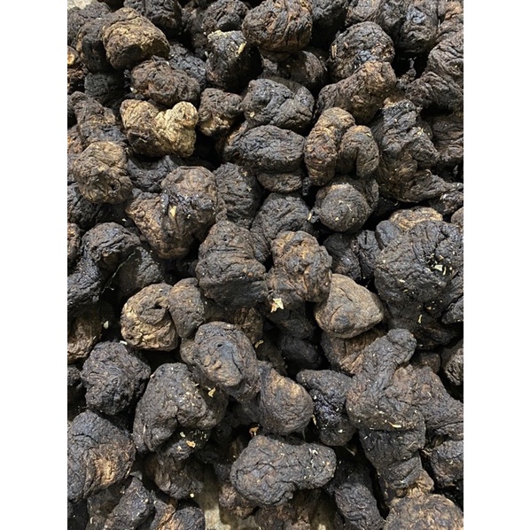 SINH ĐỊA LOẠI 1