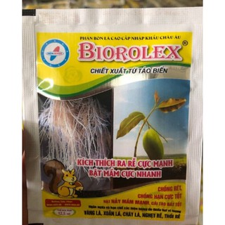 Siêu ra rễ hữu cơ giâm chiết cành biorolex