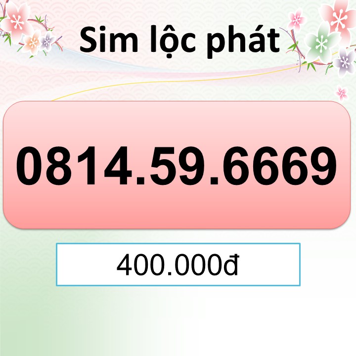 SIM SỐ ĐẸP đuôi 69 6669