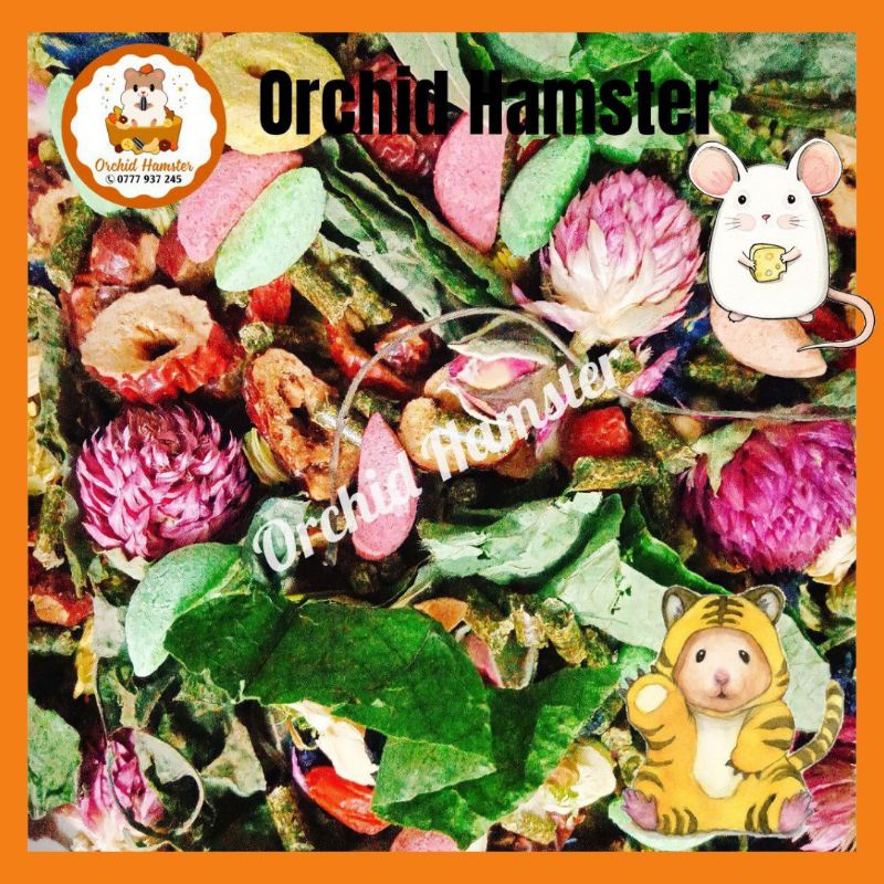 Salad Nhiệt Đới Cho Hamster