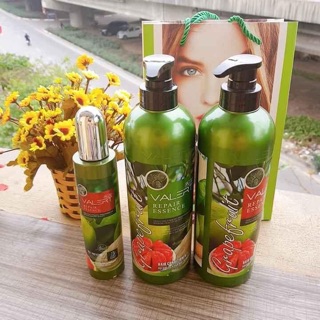 Dầu gội bưởi kèm dầu xả GRAPEFRUIT