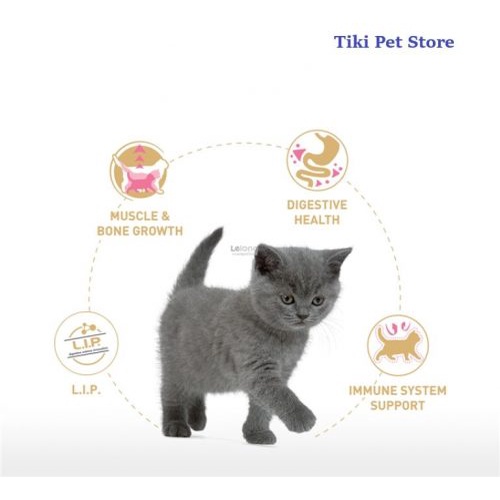 Hạt Royal Canin British Shorthair Kitten cho mèo con Anh lông ngắn 2kg