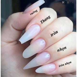 Nailbox - Keo dán móng mxbon x5 chai