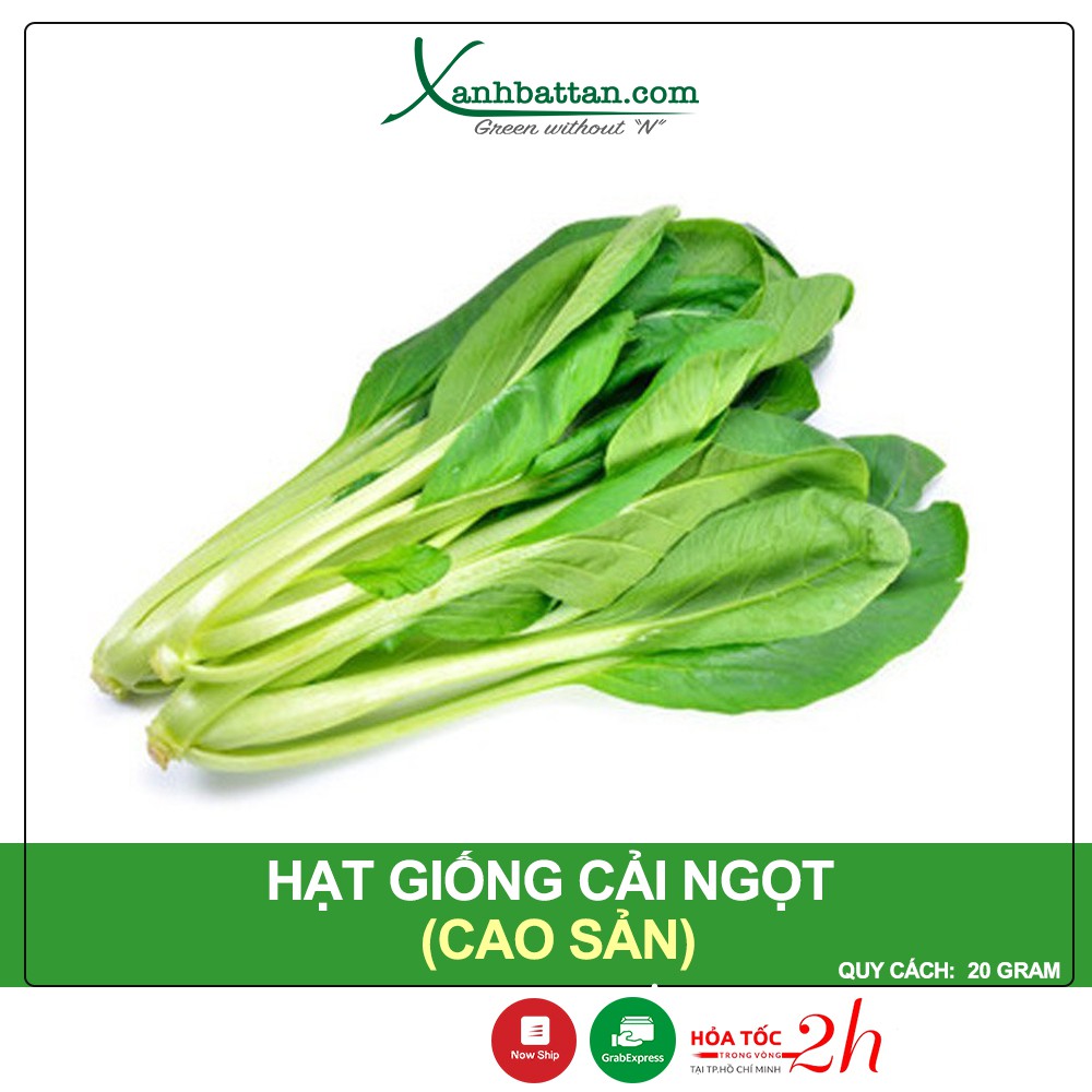 Hạt Giống Cải Ngọt Cao Sản Phú Nông Gói 20 Gram