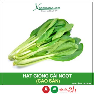 Hạt Giống Cải Ngọt Cao Sản Phú Nông Gói 20 Gram