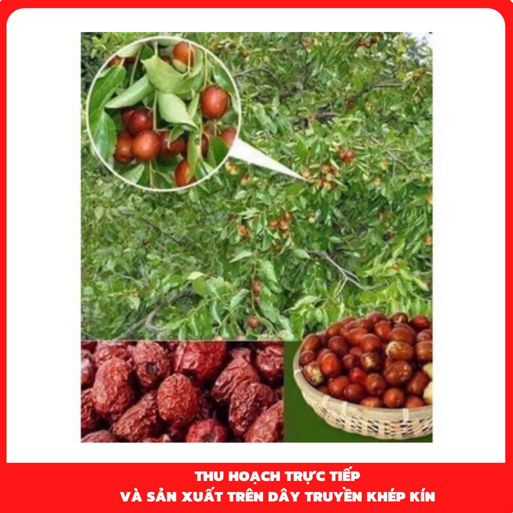 ❣️Táo đỏ sấy khô Hàn Quốc Sam Sung hộp 1kg, kèm túi xách dùng làm quà biếu tặng tết [hàng chính hãng]❣️Táo đỏ sấy khô Hà