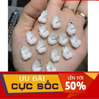 Hoa ly đá - Hoa bột nail mẫu mới