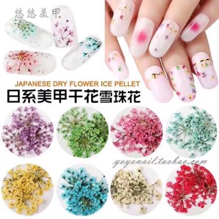 HOA KHÔ CÁNH NHỎ - HÀNG XUẤT NHẬT