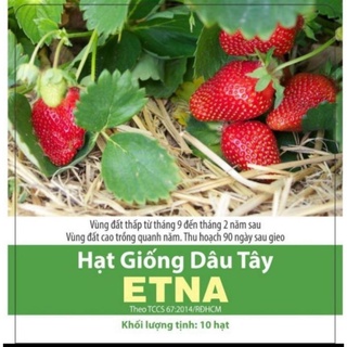 Hạt giống dâu tây etna 10 hạt