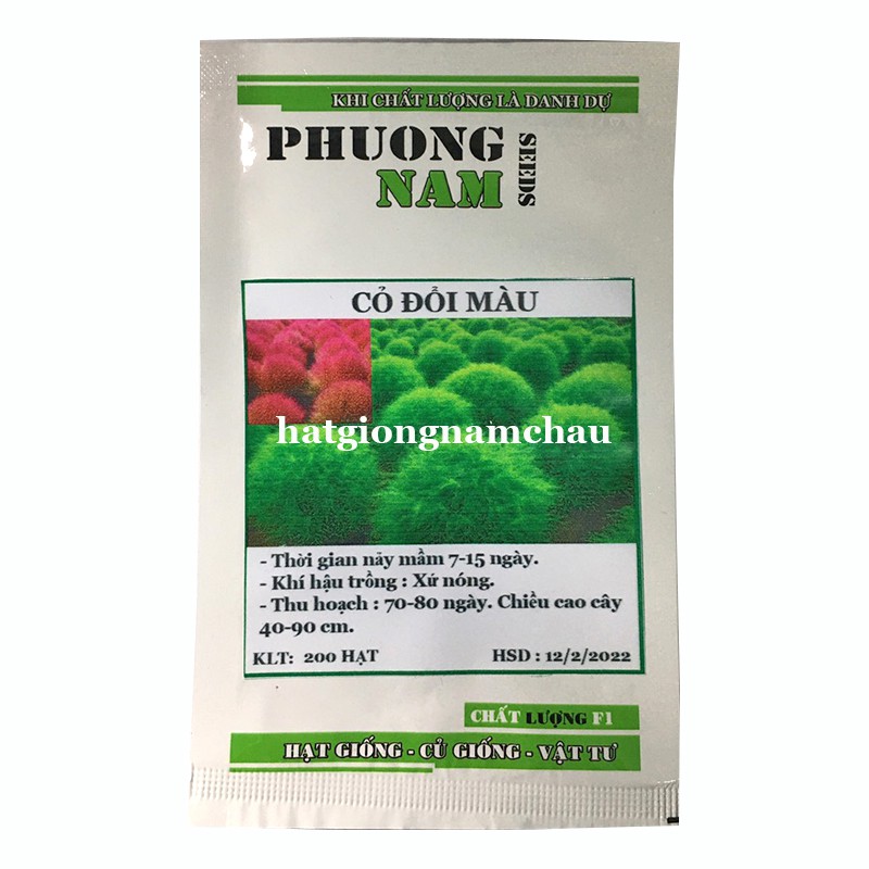 100H - HẠT GIỐNG CỎ ĐỔI MÀU