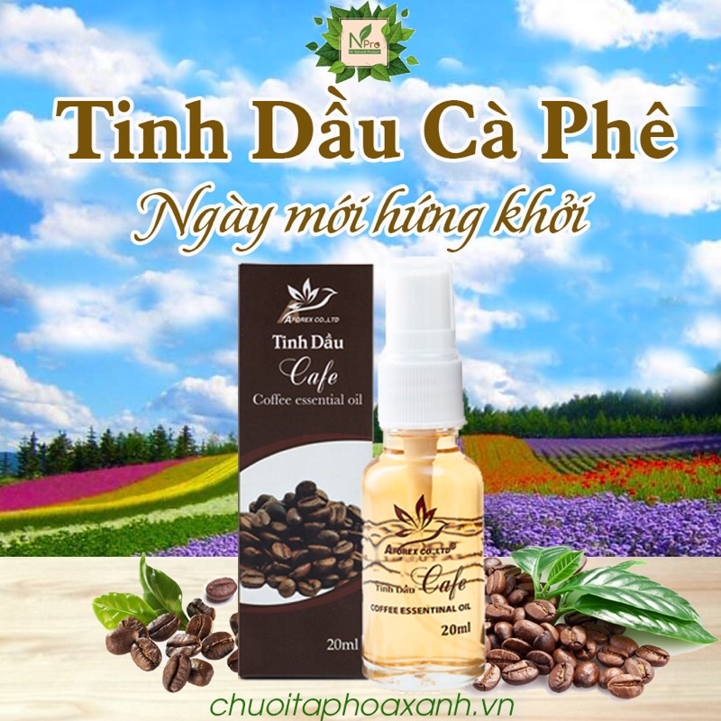 Tinh dầu cafe 20ml công ty TNHH chế biến &Xuất khẩu Lâm Sản Lạng Sơn