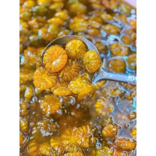 Tắc xí muội hoa