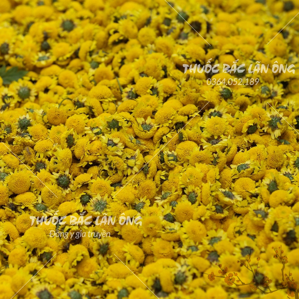 Hoa cúc chi sấy khô 100g (Trà hoa cúc vàng thanh lọc cơ thể)