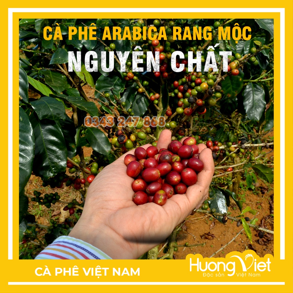 Cà phê rang mộc nguyên chất Đà Lạt, không bơ, thích hợp pha máy, pha phin, cà phê Việt Nam HP 250gr