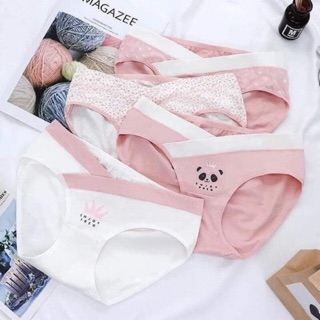 Sét 4 quần lót bầu cotton cao cấp