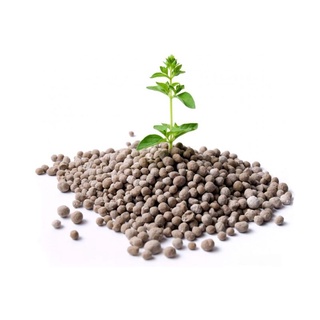 Phân DAP 1kg0556