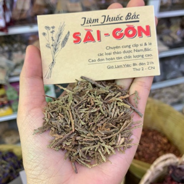 Trắc Bá Diệp 100g