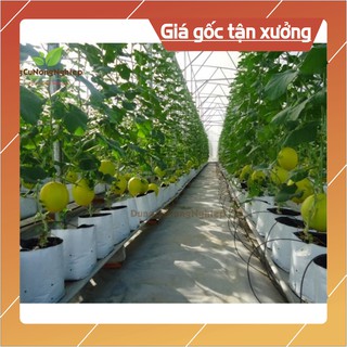 1Kg Túi PE Trồng Dưa Lưới Trồng Cà Chua, Dưa Chuột, Trồng Cây 40*40*20 (Hàng Loại 1)