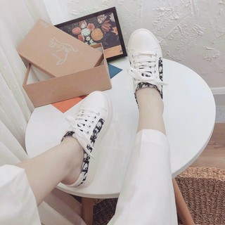 sục thể thao 2020