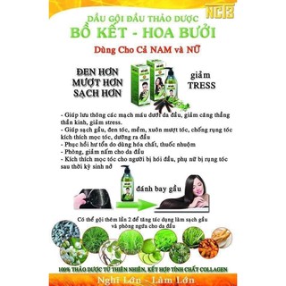 THẢO DƯỢC GỘI ĐẦU (BỒ KẾT HOA BƯỞI)