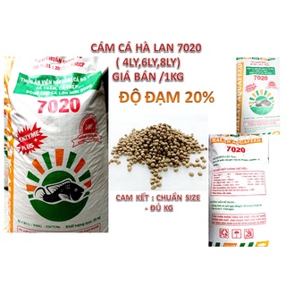 Cám cá hà lan 7020 độ đạm 20% giá bán /1kg, cám cá viên nổi độ đạm 20%