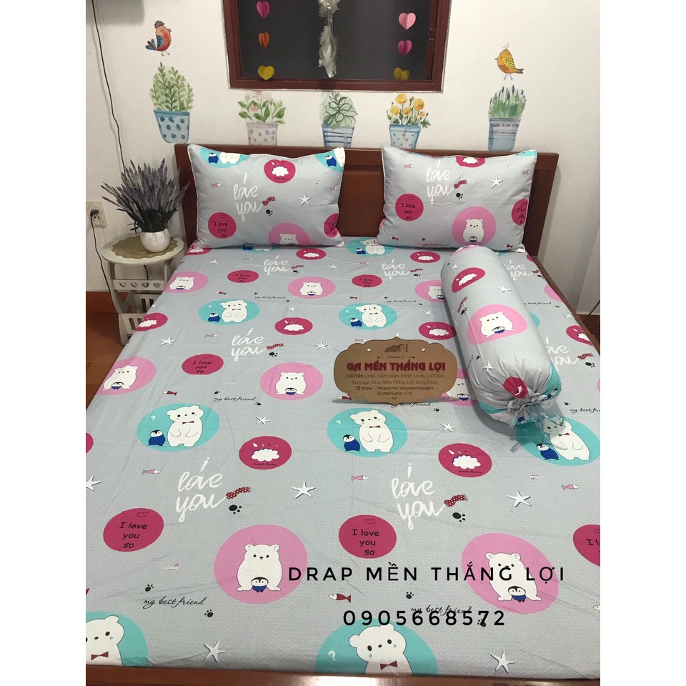 Sét ga gối coton 100% Thắng Lợi.