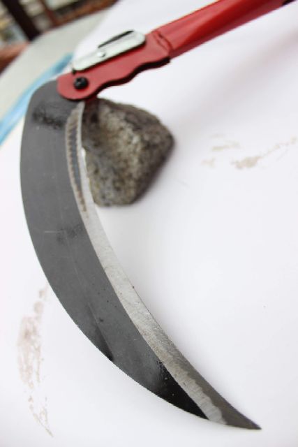 Dao phượt liềm gặt lúa