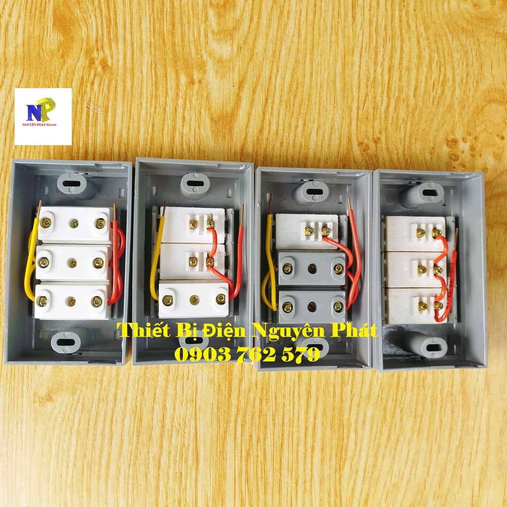 Taplo Giả Âm PIPO Ráp Sẳn PN10 - Hàng Cao Cấp