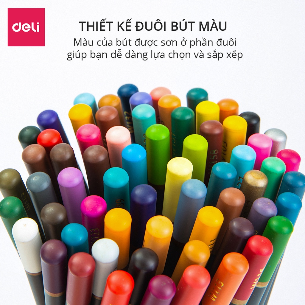 Bút chì màu cao cấp Deli dạng cốc - 24 màu/36 màu/72 màu - 68100/68101/68114