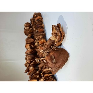 NẤM HƯƠNG RỪNG BA BỂ (1 sâu)
