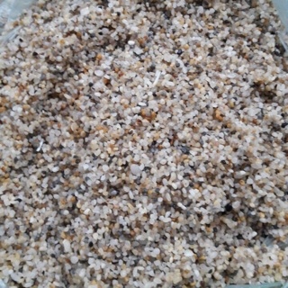 Sỏi biển cát màu rải bể cá túi 1kg