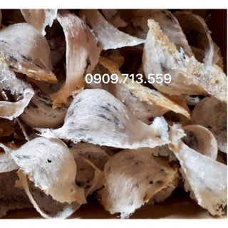 [freeship 99k toàn quốc yến thô ít lông phan thiết hộp 100g