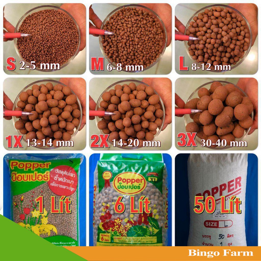 Đất nung Thái Popper 1 Lít (size L)