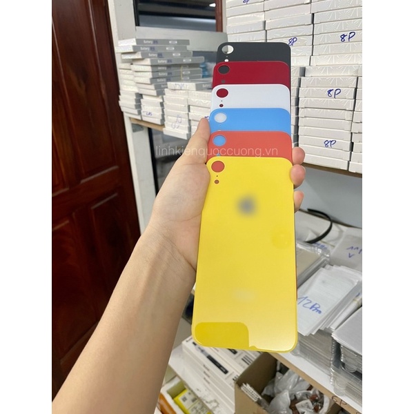 Kính lưng X-R đủ màu