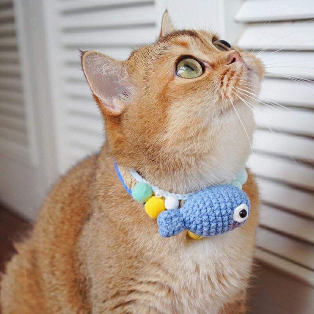 Mũ len, yếm len cho chó mèo. Ib shop mốc theo yêu cầu