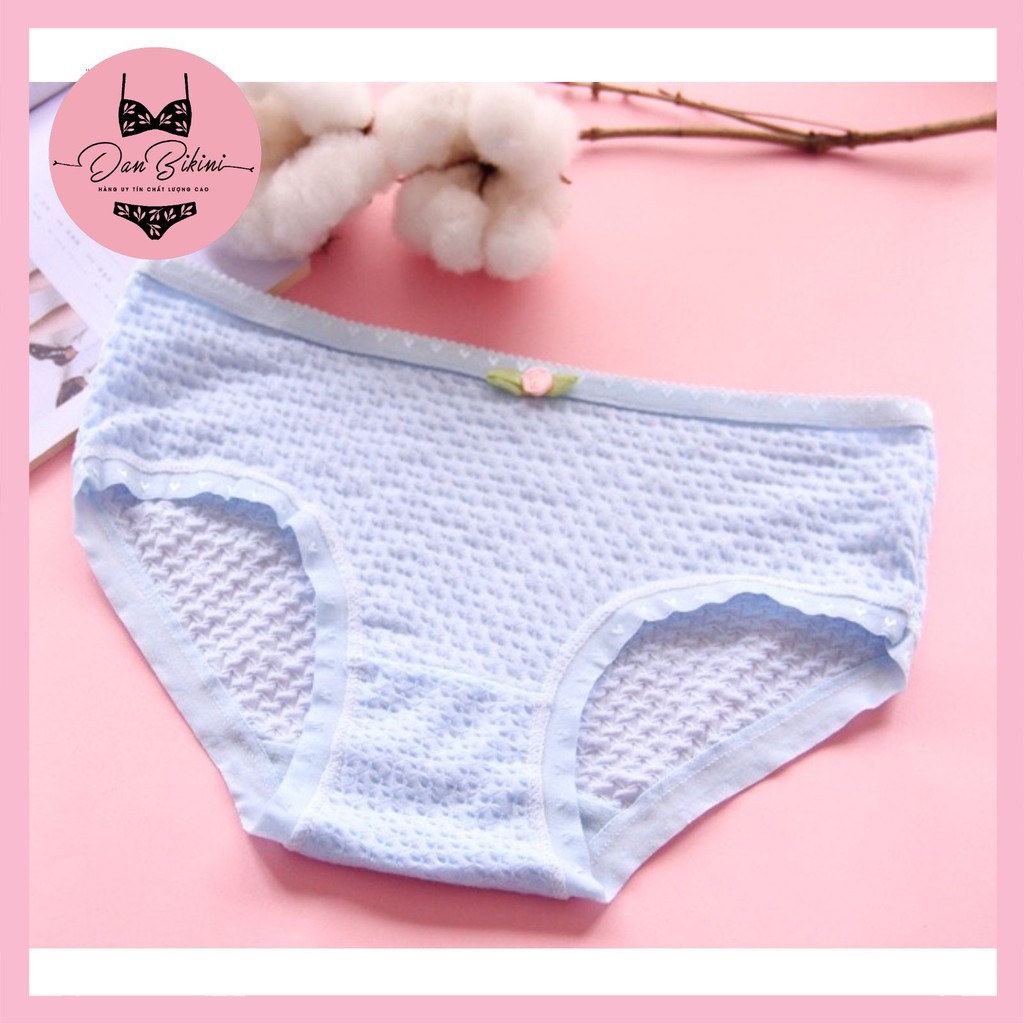 Quần Lót Nữ Cotton kháng khuẩn thoáng mát được chọn màu mã 9040 | BigBuy360 - bigbuy360.vn