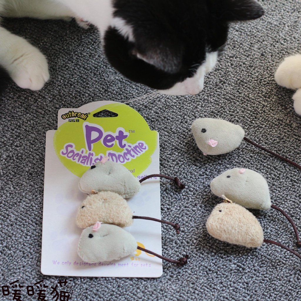 Đồ Chơi Cho Pet Com Bo 3 Con Chuột Vải Đồ Chơi Cho Pet Mèo Cún Siêu Đáng Yêu Cute Giá Rẻ Cho Boss Nhà Bạn Giá Rẻ