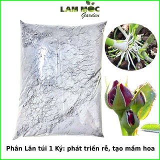 Phân Lân Lâm Thao Giúp cây trồng phát triền bộ rể, Tạo mầm hoa, Đẻ nhánh