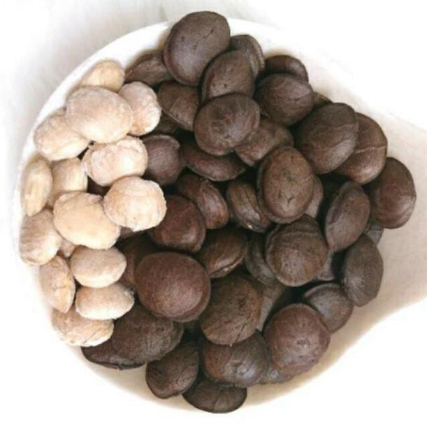 Hạt Sachi sấy chín Oganic Đắklắk thơm ngon