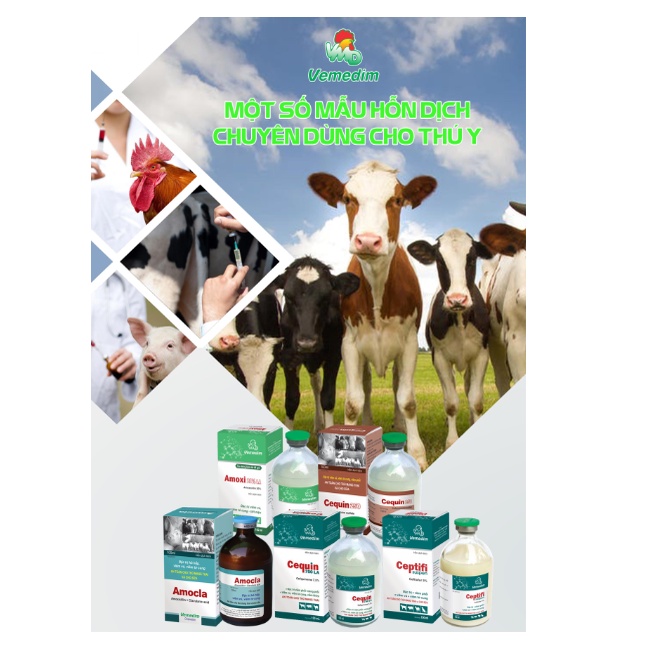 Vemedim Vitamin B complex bổ sung các vitamin nhóm B, phòng chống suy dinh dưỡng cho gia súc, gia cầm, gói 100g