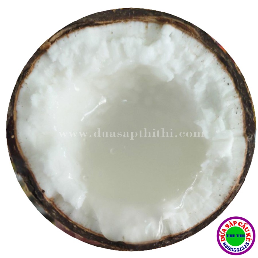 DỪA SÁP LOẠI 2 MINI