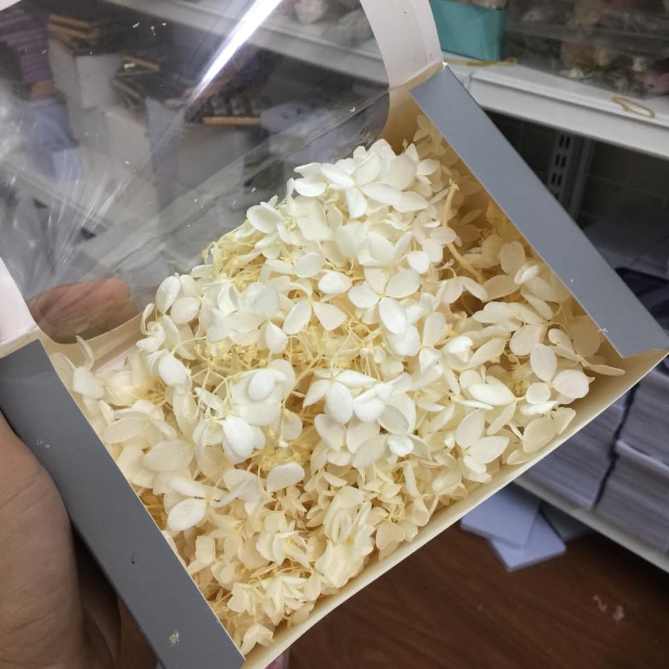 Hộp hoa khô siêu lớn