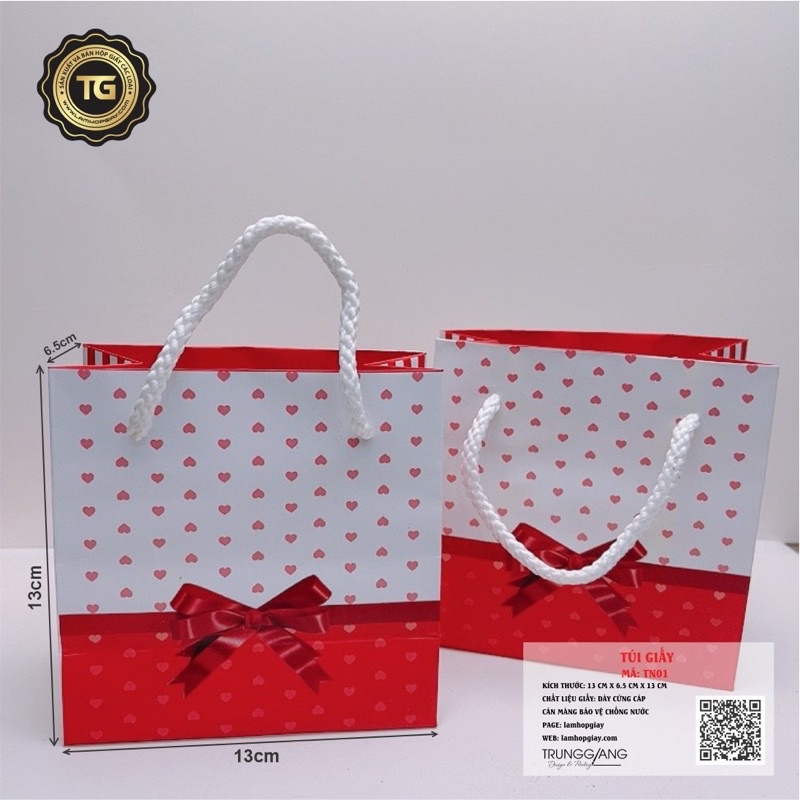 100 túi giấy TN01