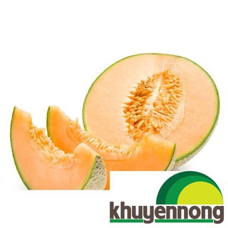 20 Hạt giống dưa lưới xanh