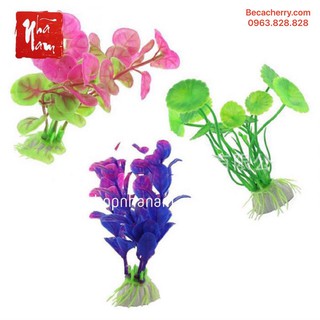 Cây trang trí bể cá mini 10cm - 12cm
